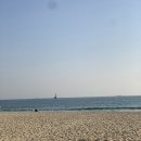 정직유부범일점 이미지