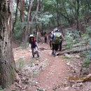 진중2리 이미지