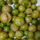 진신농장 이미지