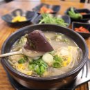 바글바글제주 이미지