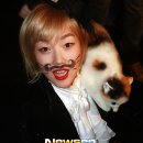 소신 이미지