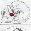 유니드한의원 이미지