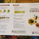 국립농업과학원 제공 &#34;등검은말벌&#34; 바로 알고 방제하기 이미지