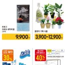 깨끗한나라세탁 이미지