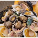 조개사랑 이미지