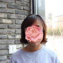 신동이발 이미지