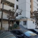 강남-185 이미지