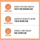 소프트시스템 | (협찬) 겉바속촉 이즈칸 독 소프트 살몬 강아지사료 체험후기