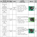리콜컴퓨터 이미지