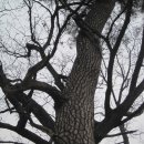 모운동길 이미지