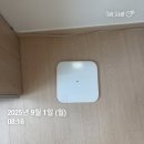 샤인카랜드 | 망할까봐 걱정되는 식단일기63~69일차
