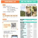 헤이리풀빌라워라밸호스텔 이미지