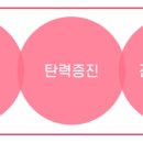 아이리즈