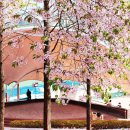 수지체육공원 풋살장 이미지