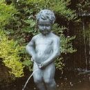 경희그린비한의원 이미지