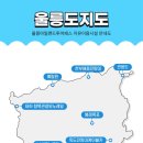 신비나리투어
