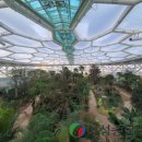 부천호수식물원 수피아 이미지