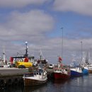 부경대학교 수산질병관리원 이미지