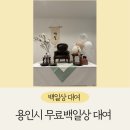 용인시 무료 백일상 대여 &lt;전통상&gt; 후기