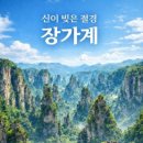 장가계 - 중구 당디로 64 | 장가계
