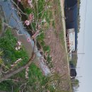 준안과의원 이미지