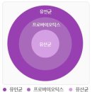 EM(이엠) 이미지