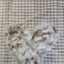 냥스터치 이미지