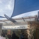 아이와(I.WA) | 퍼스 여행 후기｜더 하우스 오브 허니와 마가렛 리버 초콜릿 컴퍼니 다녀온 달콤한 코스 퍼스꿀농장...