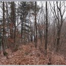 춘천서인병원 이미지