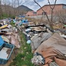 새터목장 이미지