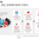 굿초이스