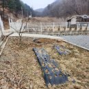 나래부동산공인중개사사무소 이미지