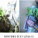 김금순농장 이미지