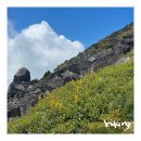 그늘과 빛의 기억  | 한라산 성판악 코스 등산초보 여름등산 후기 옷차림 준비물 주차 등 꿀팁
