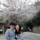 삼익떡방앗간 - 계양구 효서로 347 | 삼익떡방앗간