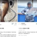 싱싱과일청과생선