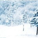 설화목장 이미지