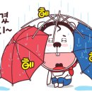 (오)늘의 운(세) 이미지