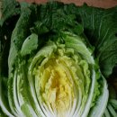 주운농장 이미지