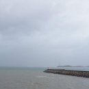 태풍속의 무안[조금나루유원지해변]과 함평[돌머리해변] 이미지