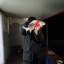 도속지낚시터 이미지