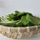 와사비 티스토리