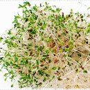 서울21치과의원 이미지