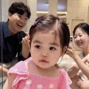 박수홍 카카오 검색결과