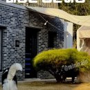 스테이미노