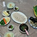 동백아나고 이미지