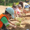 행복한 정원 이미지