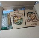 에밀리펫 이미지