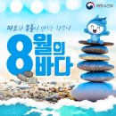 8월 여행지로 딱! 파도와 자갈의 하모니, 몽돌해수욕장 이미지