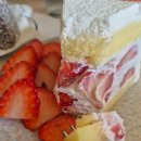 전포1동-5 | 부산 전포 서면 놀거리 카페거리 압트커피 전포 소품샵 파니에 영업시간 후기